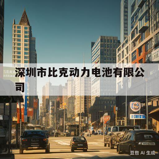 深圳市比克动力电池有限公司